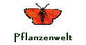 Pflanzenwelt